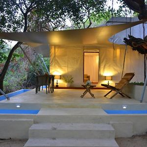 Private Luxury Tent